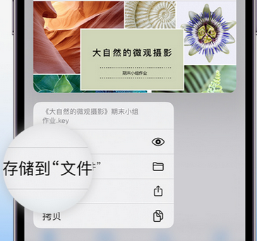 延庆apple维修中心分享iPhone文件应用中存储和找到下载文件