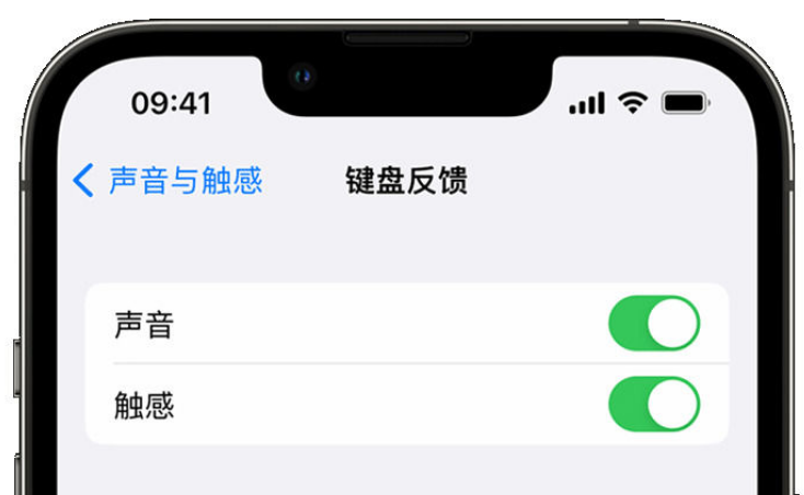 延庆苹果手机维修分享iPhone 14触感键盘使用方法 