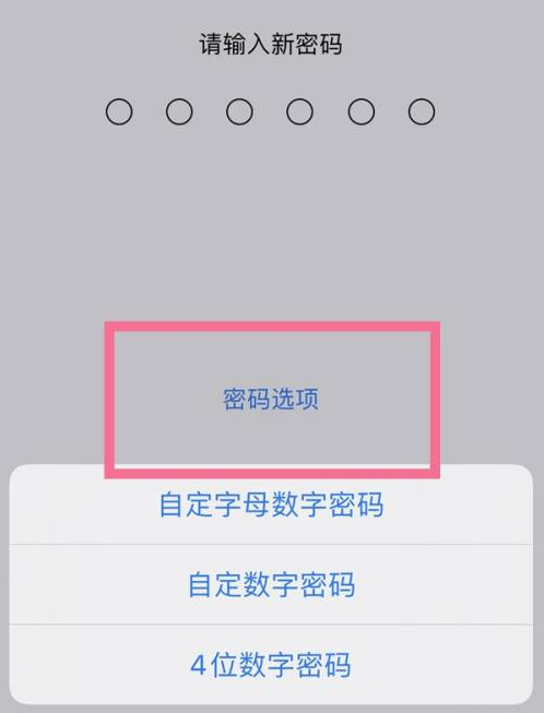 延庆苹果14维修分享iPhone 14plus设置密码的方法 