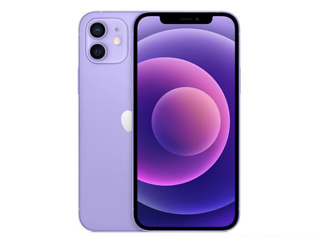 延庆苹果手机维修分享现阶段要不要入手紫色版iPhone12 
